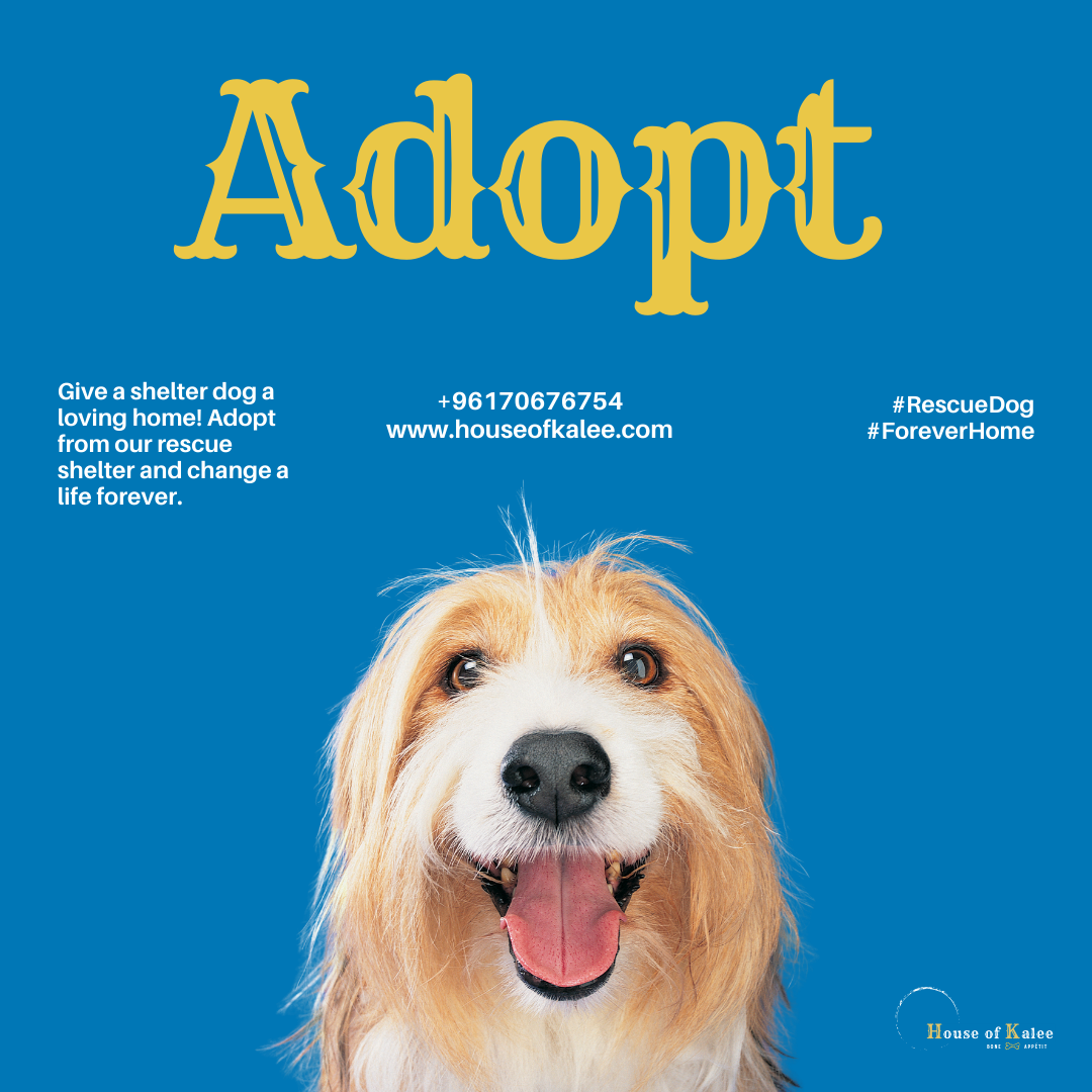 House of Kalee adoption campaign featuring a rescue dog