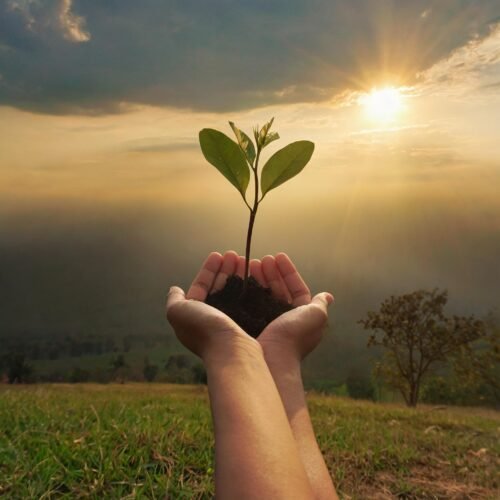 The curious case of money and impact