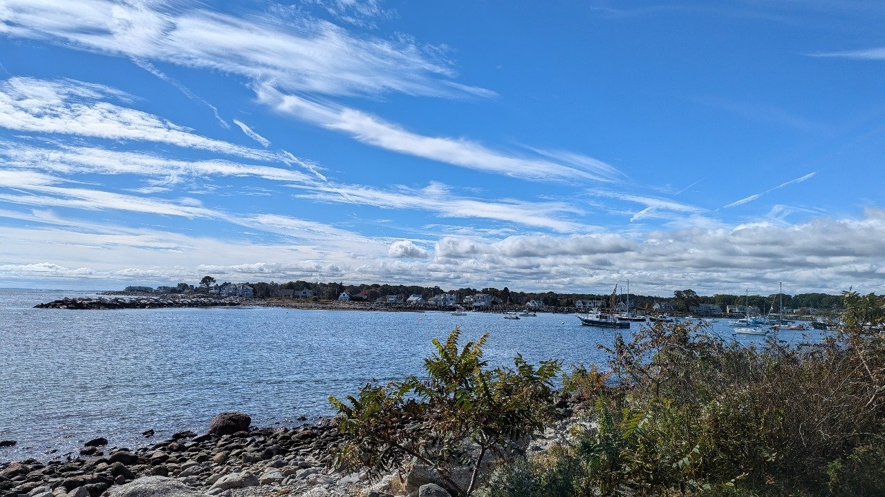 Trick and treat your brain! A mental health day reflection