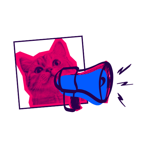 Bold Waves Newsletter - The News Cat Icon